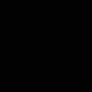 Meet your Posher, Jenni